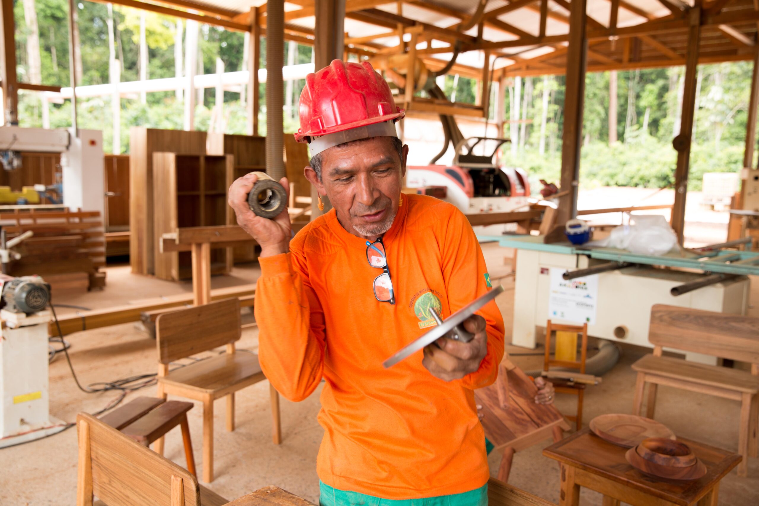 COOMFLONA promove o manejo florestal sustentável na Amazônia