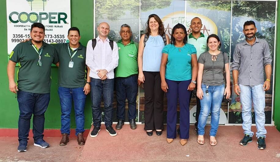 Cooperativas agro recebem programa piloto da OCB Nacional