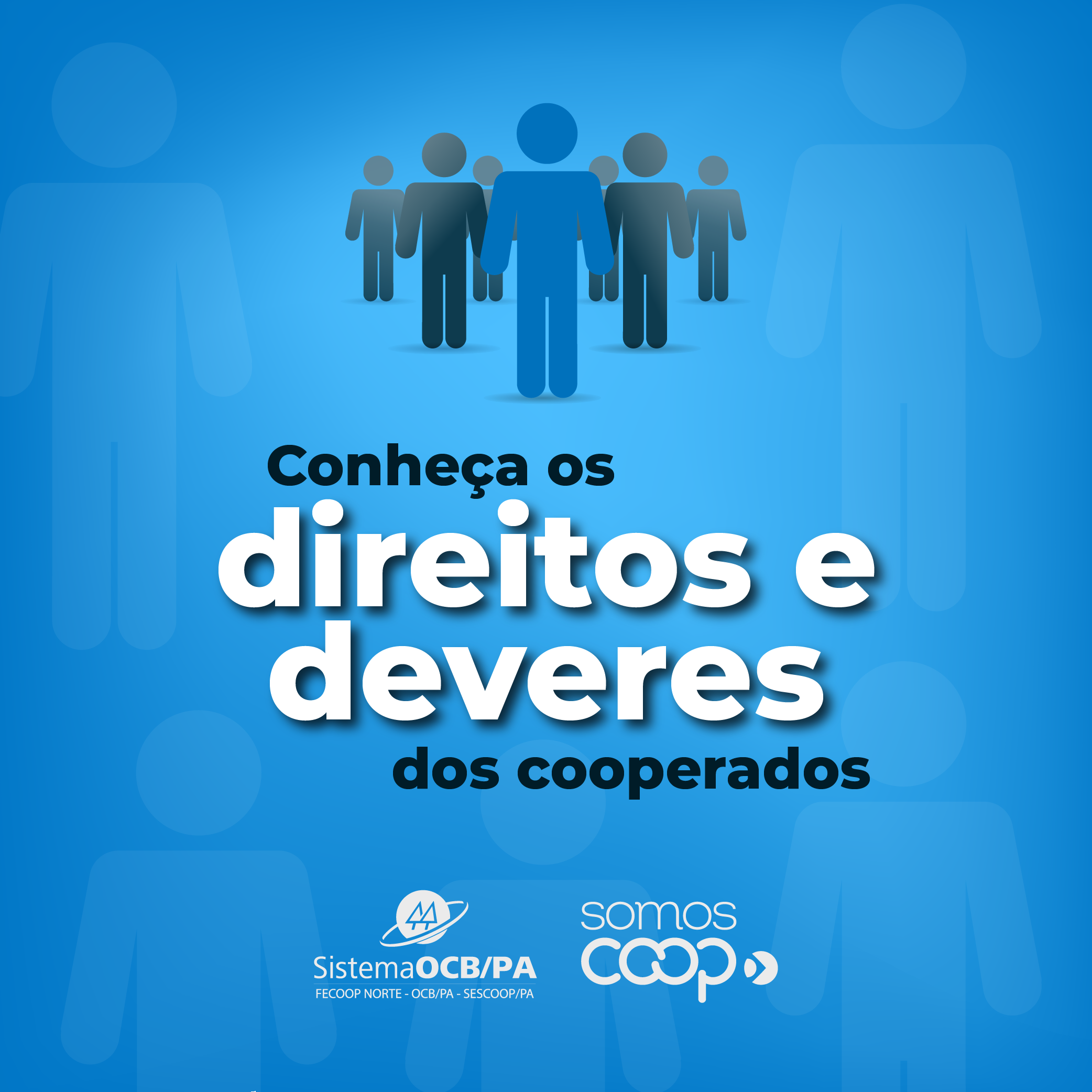 Conheça os direitos e deveres dos cooperados