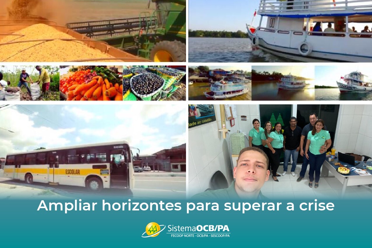 TRANSPRODUTOR amplia horizontes na pandemia