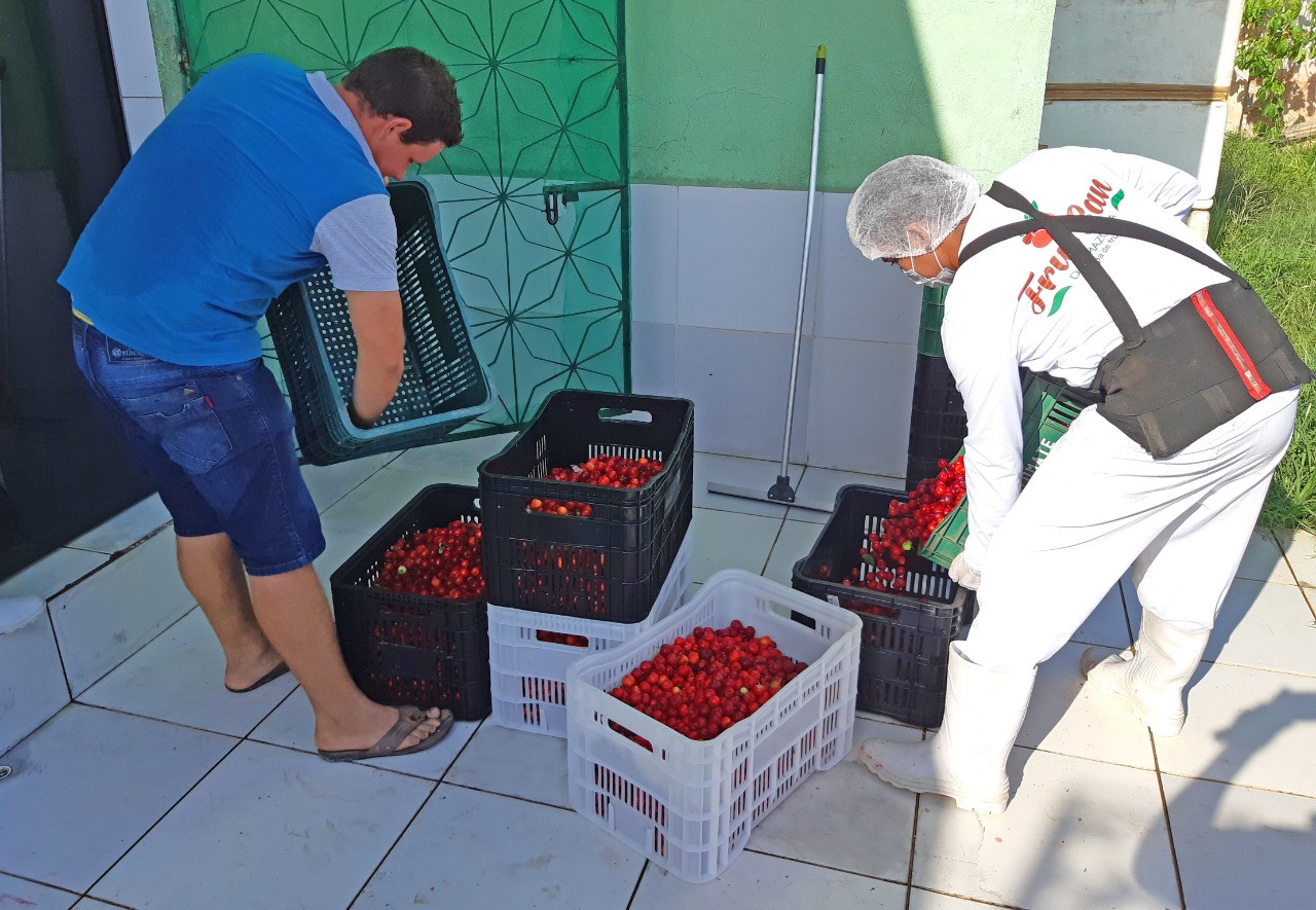 CONAB cadastra cooperativas para compra de produtos