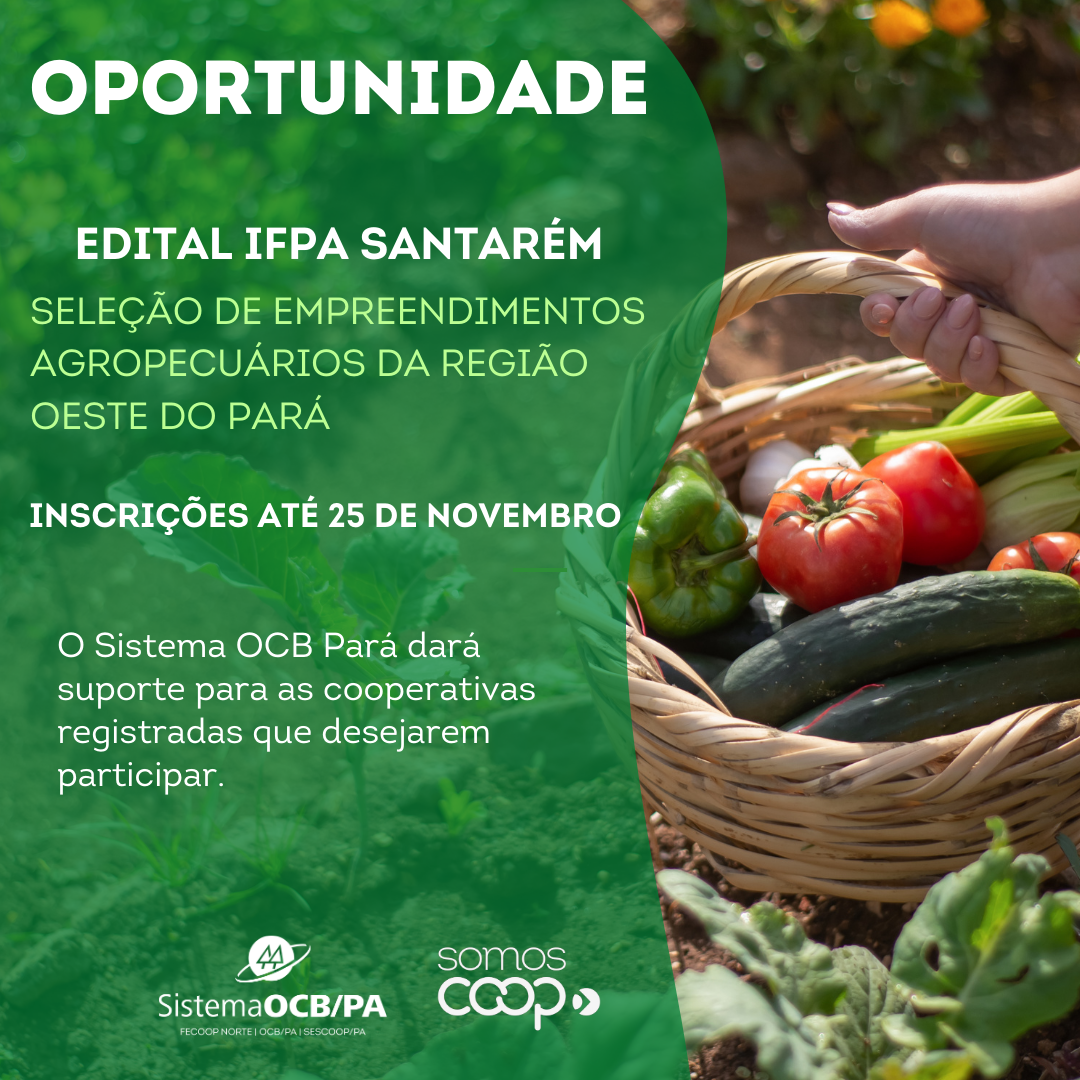 Edital anunciado pelo IFPA Campus Santarém seleciona cooperativas para participar do Programa de Promoção e Fortalecimento de Cooperativas, Associações e Empreendimentos Solidários da Agricultura Familiar 