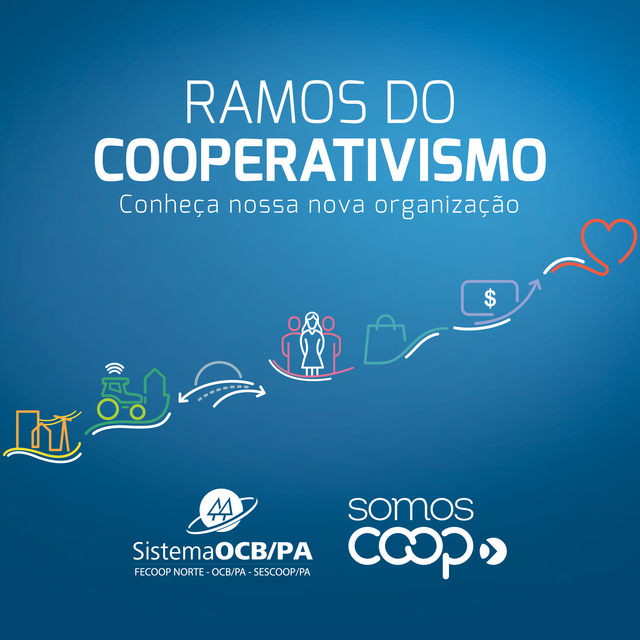 Nova estrutura de ramos cooperativistas já está em vigor
