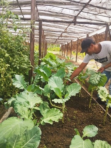 agricultura familiar