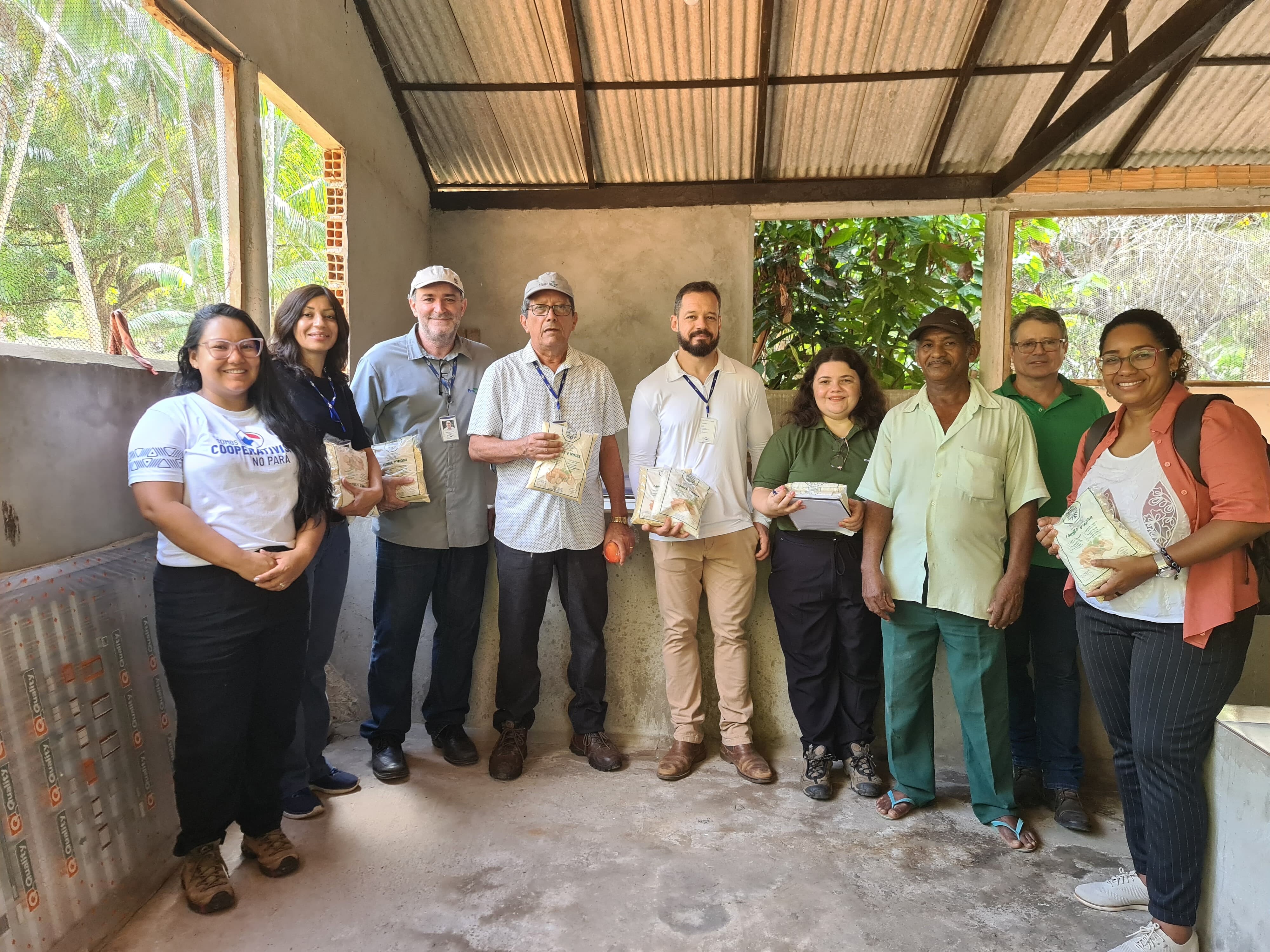 Sistema OCB/PA e Embrapa fortalecem a cadeia produtiva de mandioca na região nordeste paraense