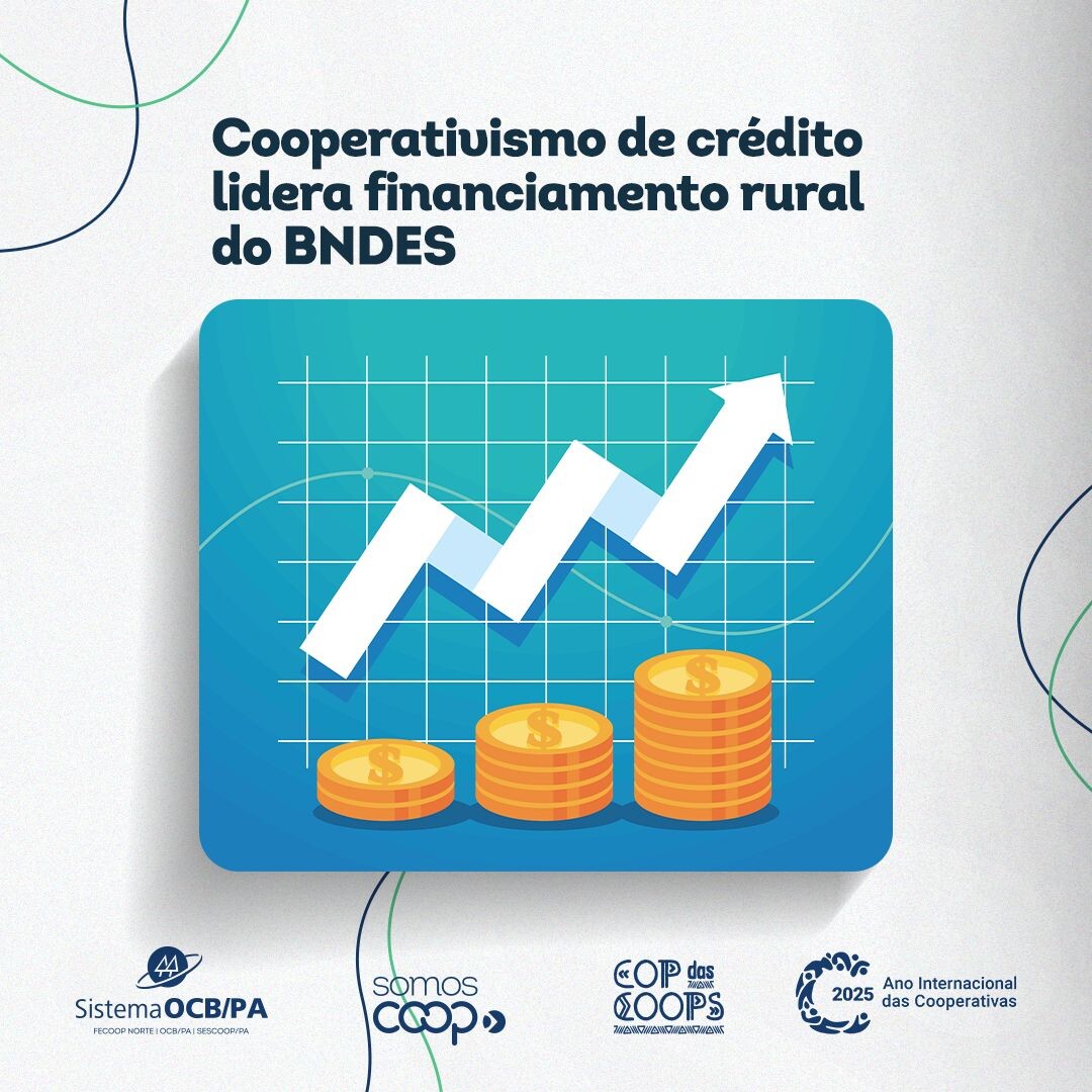 Cooperativas lideram financiamento de crédito rural e ampliam o desenvolvimento econômico no Pará