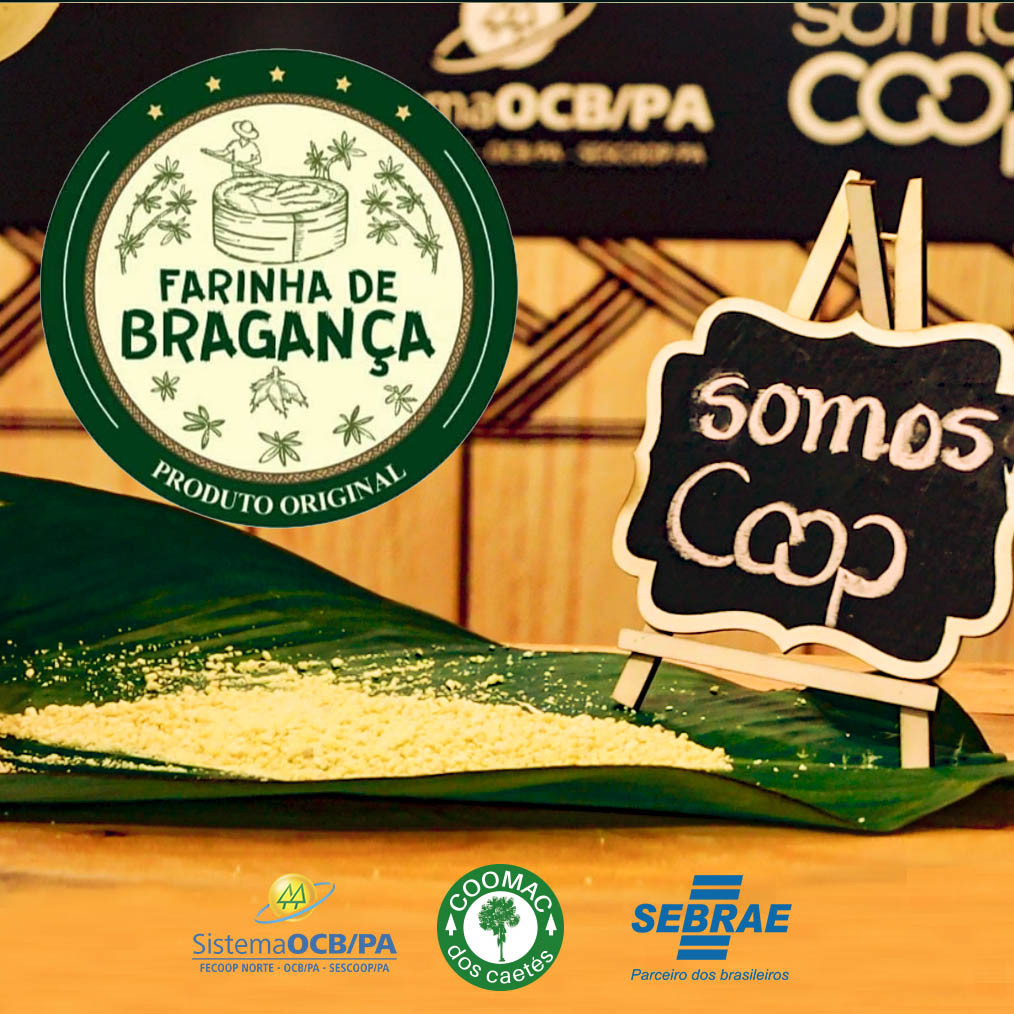 Bragança conquista IG da farinha