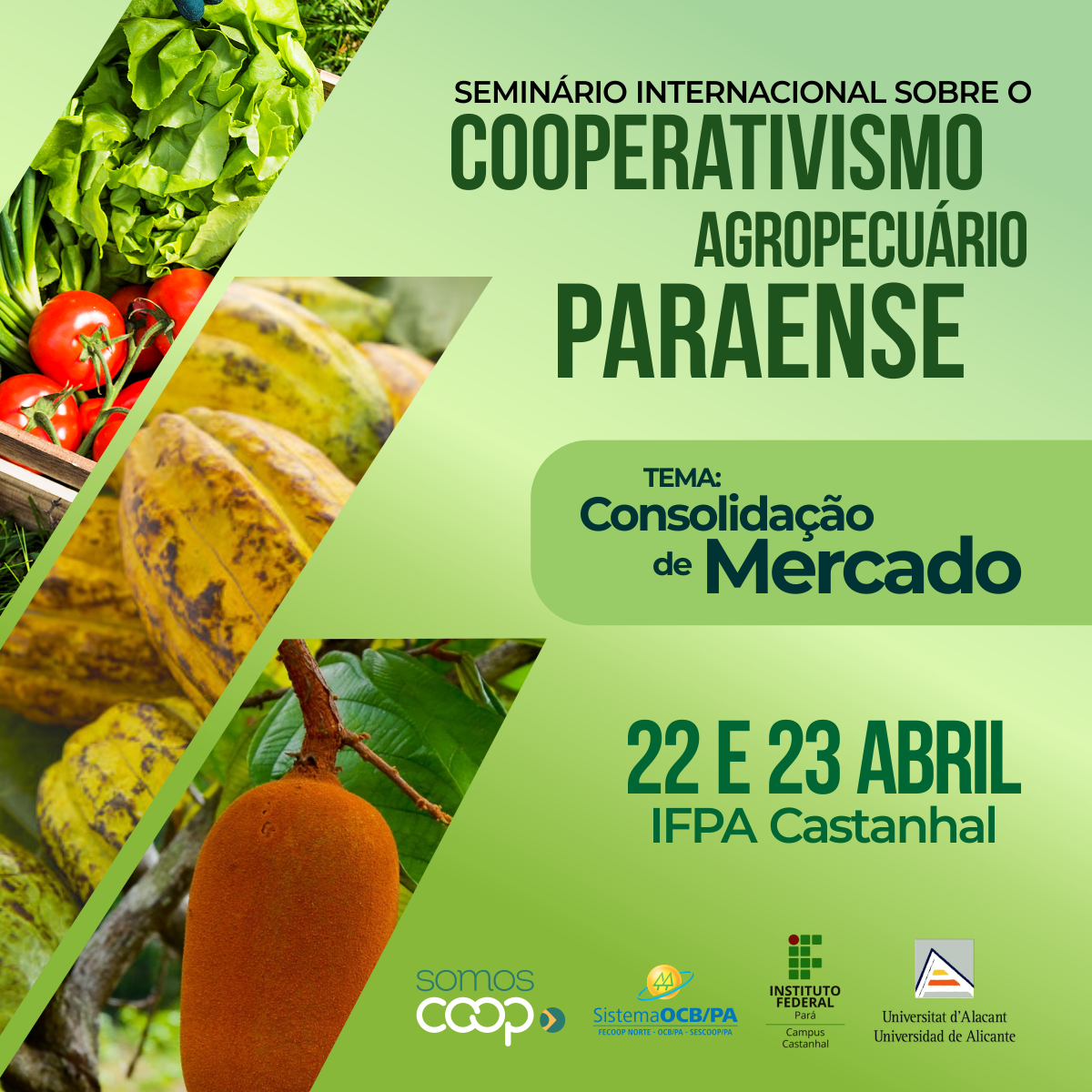 Seminário Internacional discute mercado para cooperativas agropecuárias 